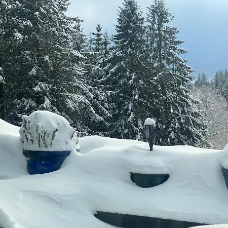 Luxus Traumblick Hahnenklee 4sterne Dtv Apartment *
