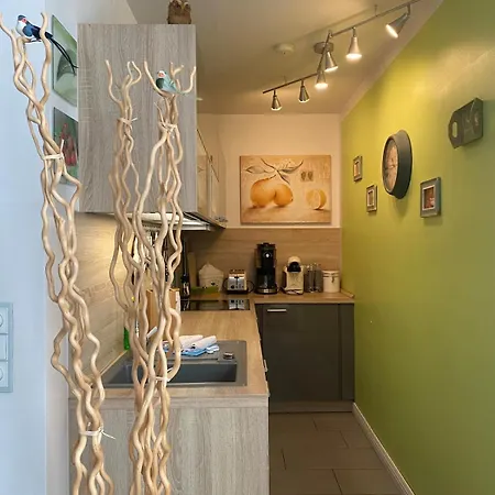 Luxus Traumblick Hahnenklee 4sterne Dtv Apartment