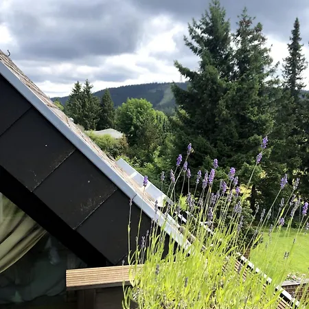 Luxus Traumblick Hahnenklee 4sterne Dtv Apartment *