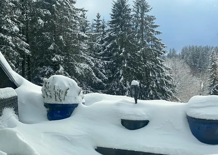 Luxus Traumblick Hahnenklee 4sterne Dtv Appartement *
