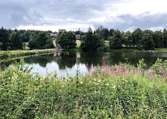 Luxus Traumblick Hahnenklee 4sterne Dtv Appartement *