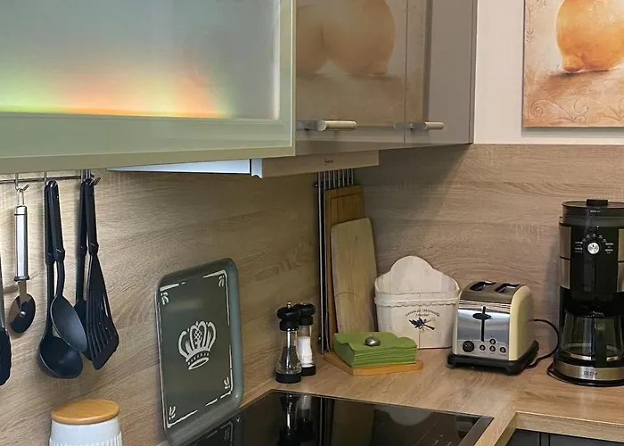 Luxus Traumblick Hahnenklee 4sterne Dtv Appartement