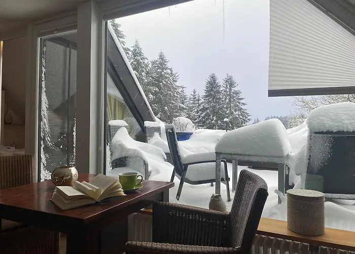 Luxus Traumblick Hahnenklee 4sterne Dtv Goslar