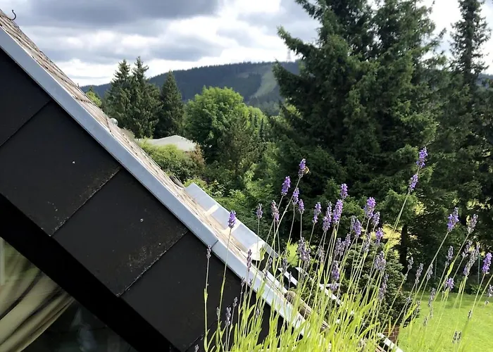 Luxus Traumblick Hahnenklee 4sterne Dtv Appartement *